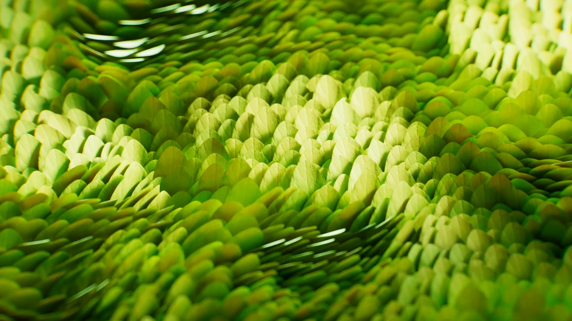 Glass & Nature — 三维作品 01